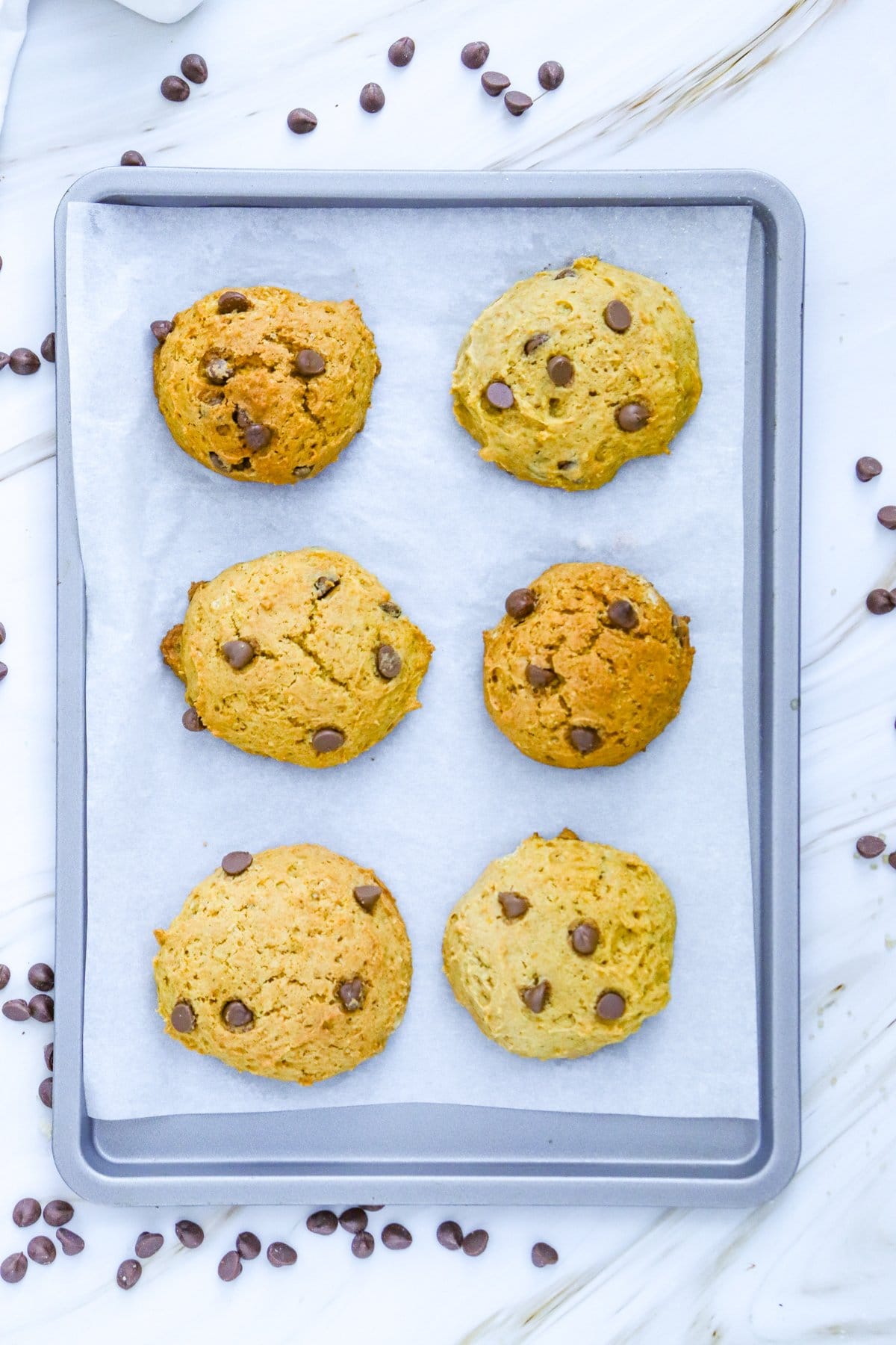 A baking tray lined with parchment paper holds six pumpkin cookies topped with chocolate chips, surrounded by scattered chocolate chips.
