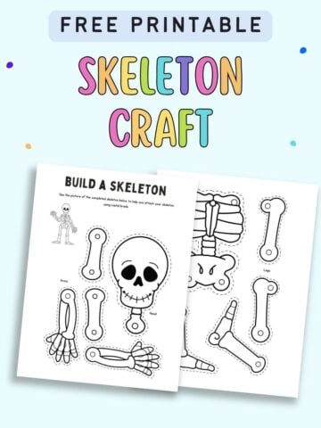 Two printable pages featuring a "Build a Skeleton" craft template, designed for kids to cut out and assemble a human skeletal system, with a playful skull and bone illustrations, suitable for Halloween decorations.