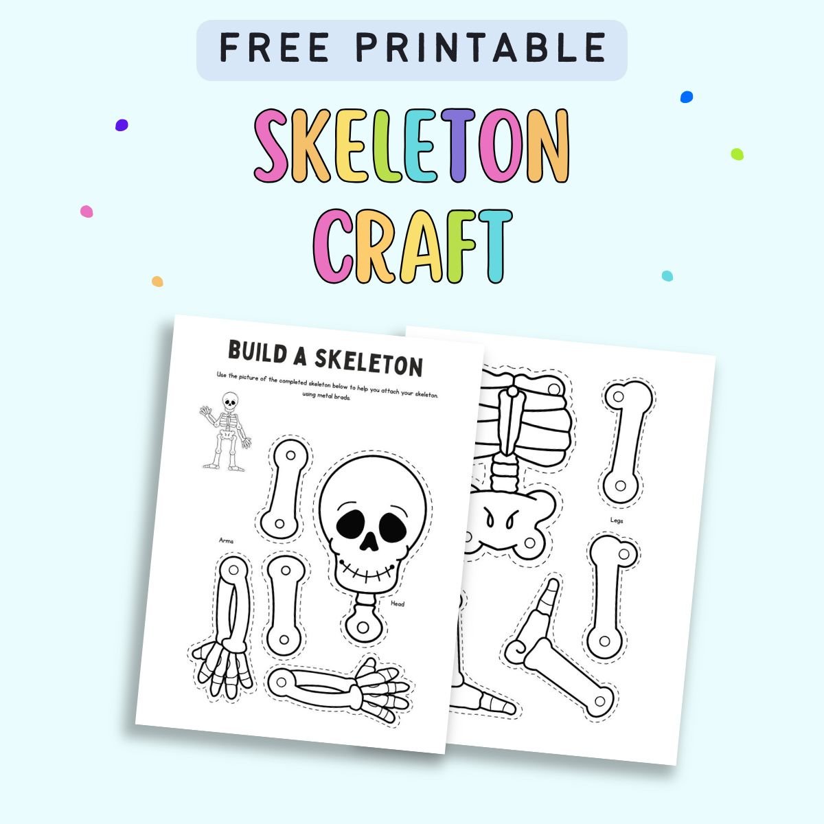 Two printable pages featuring a "Build a Skeleton" craft template, designed for kids to cut out and assemble a human skeletal system, with a playful skull and bone illustrations, suitable for Halloween decorations.

