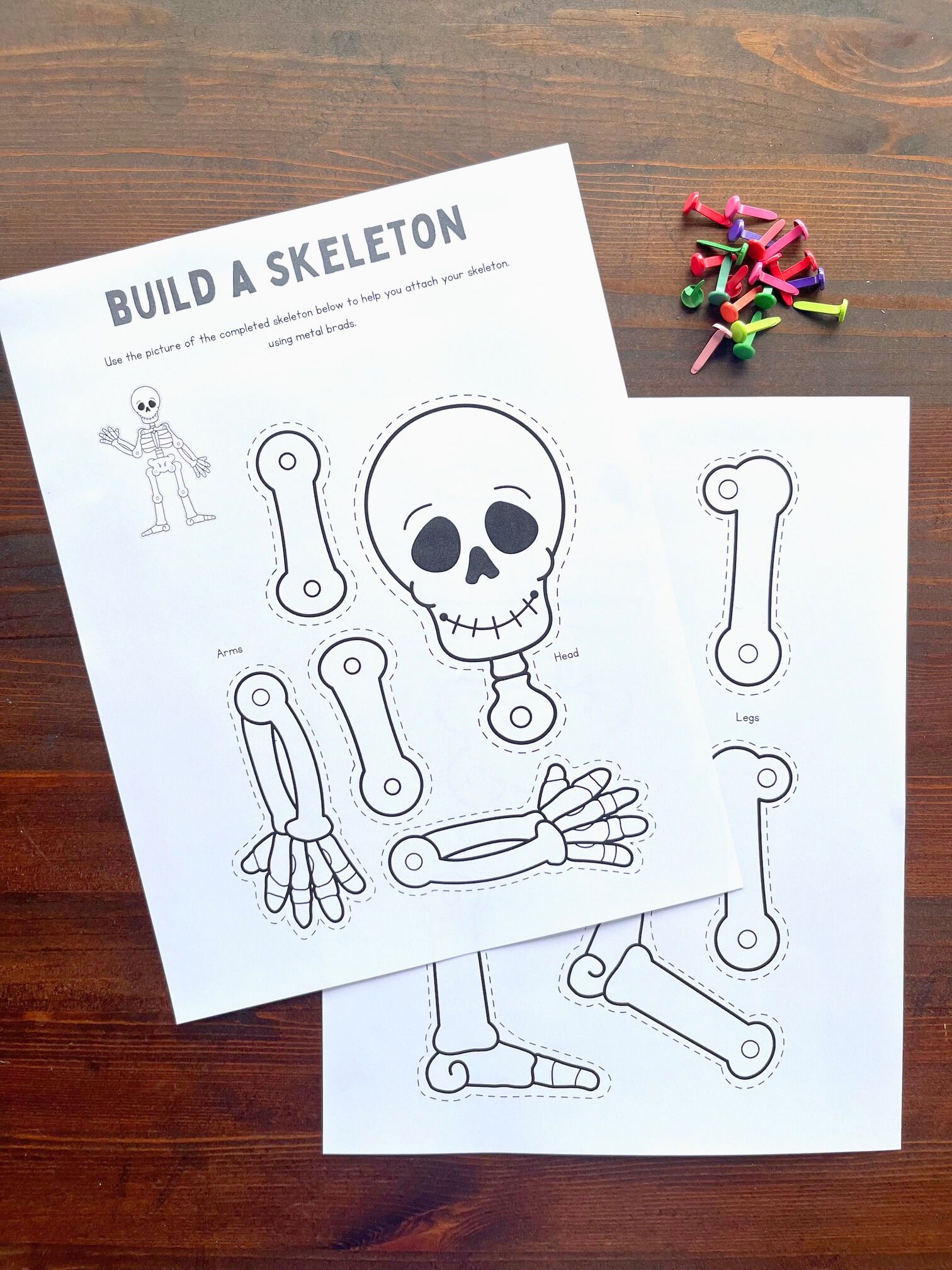 A printable skeleton template for kids is displayed on a wooden surface, accompanied by colorful paper fasteners for crafting.
