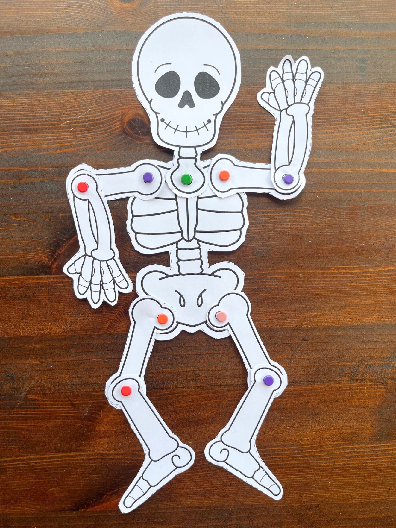 A paper skeleton template, featuring movable joints and colorful fasteners, is displayed on a wooden surface, suitable for kids' craft activities or Halloween decorations.
