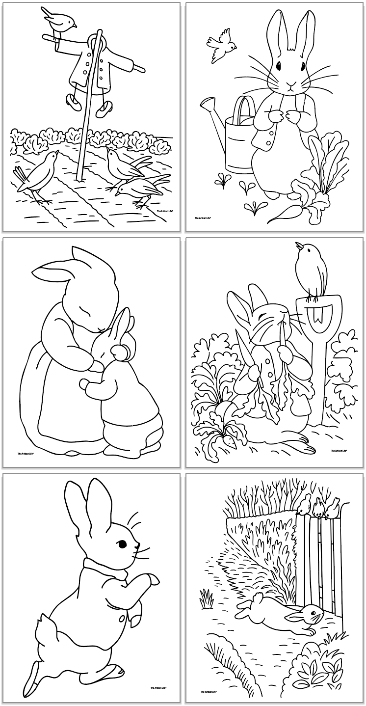 six Peter Rabbit themed coloring pages 