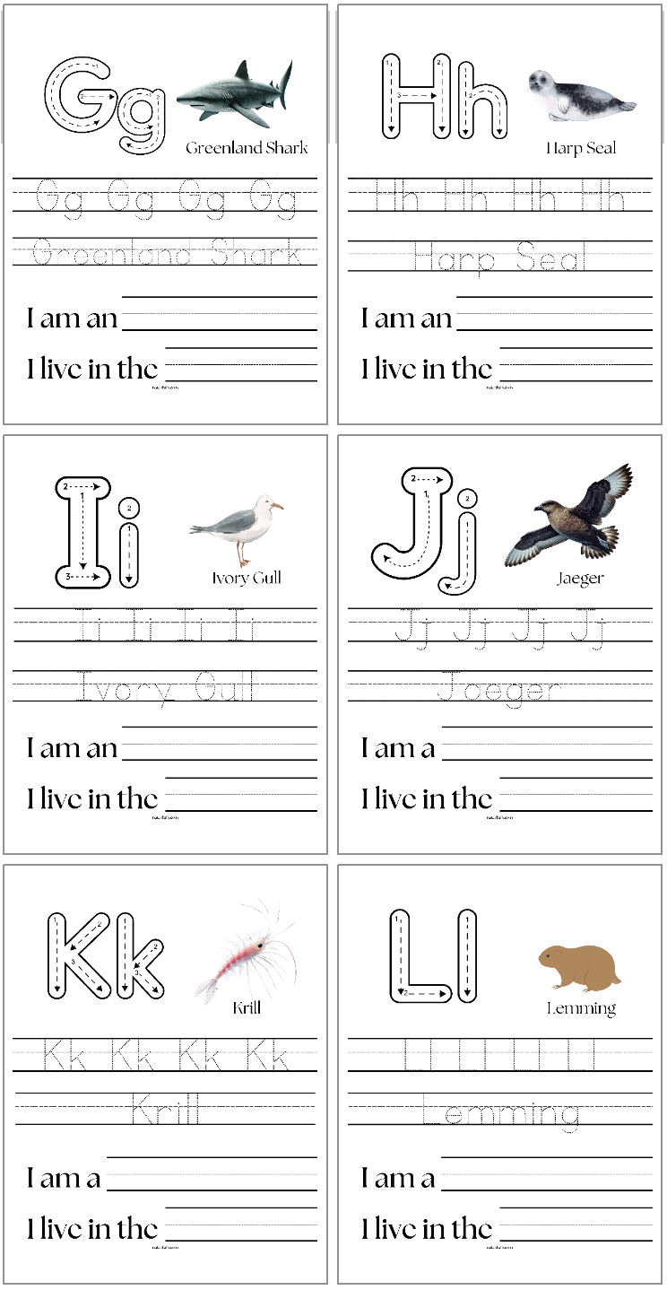 arctic animal handwriting pages with letters g - l