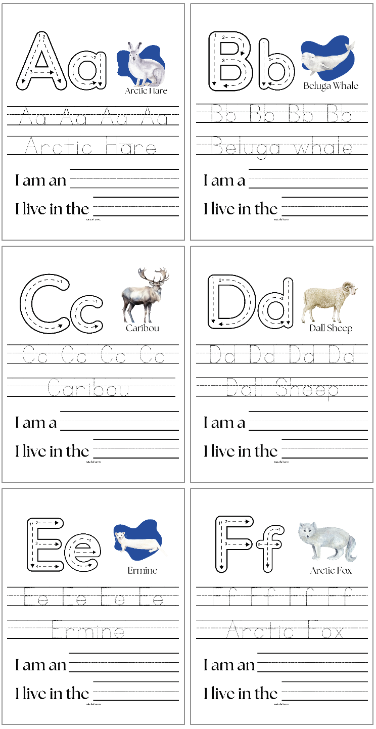 arctic animal handwriting pages with letters a - f