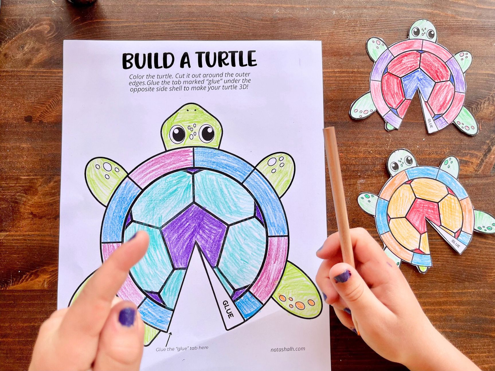a child's hand with a colored pencil coloring a 3d turtle craft. Two small completed turtles are seen in the background