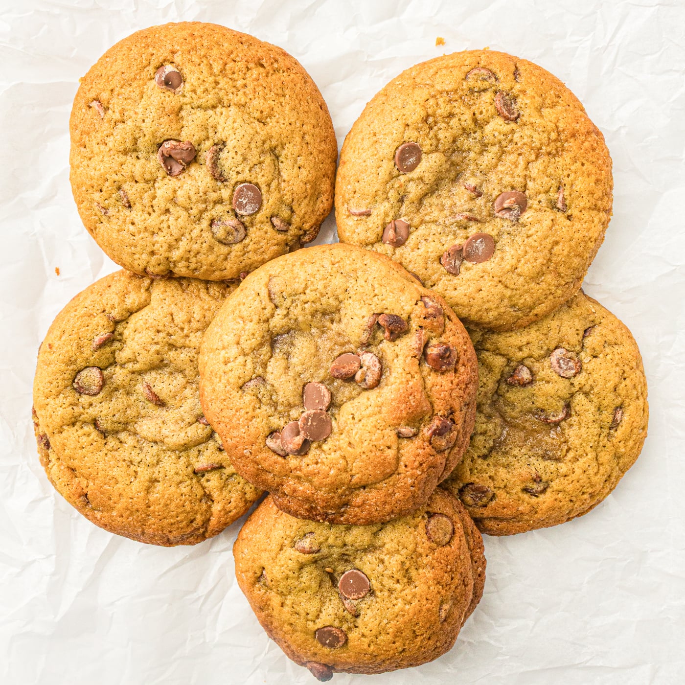 five large, bakery style chocolate chip cookies made with sourdough discard