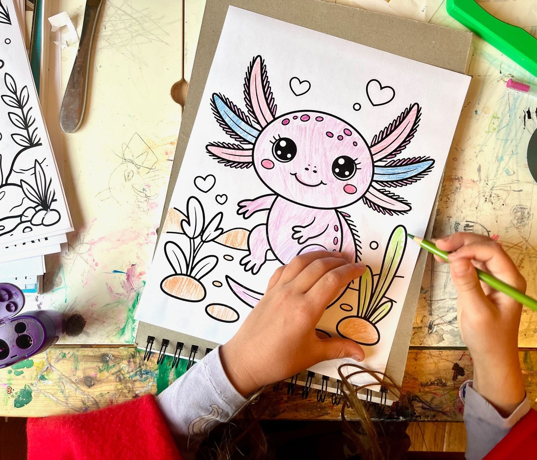 A top down photo of a child coloring an axolotl coloring sheet
