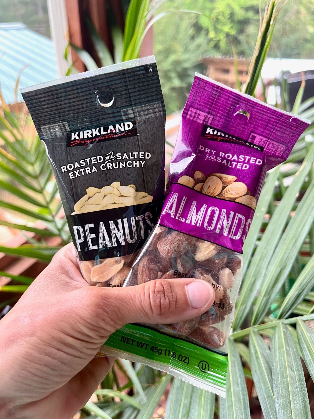 a hand holding two packs of Costco nuts