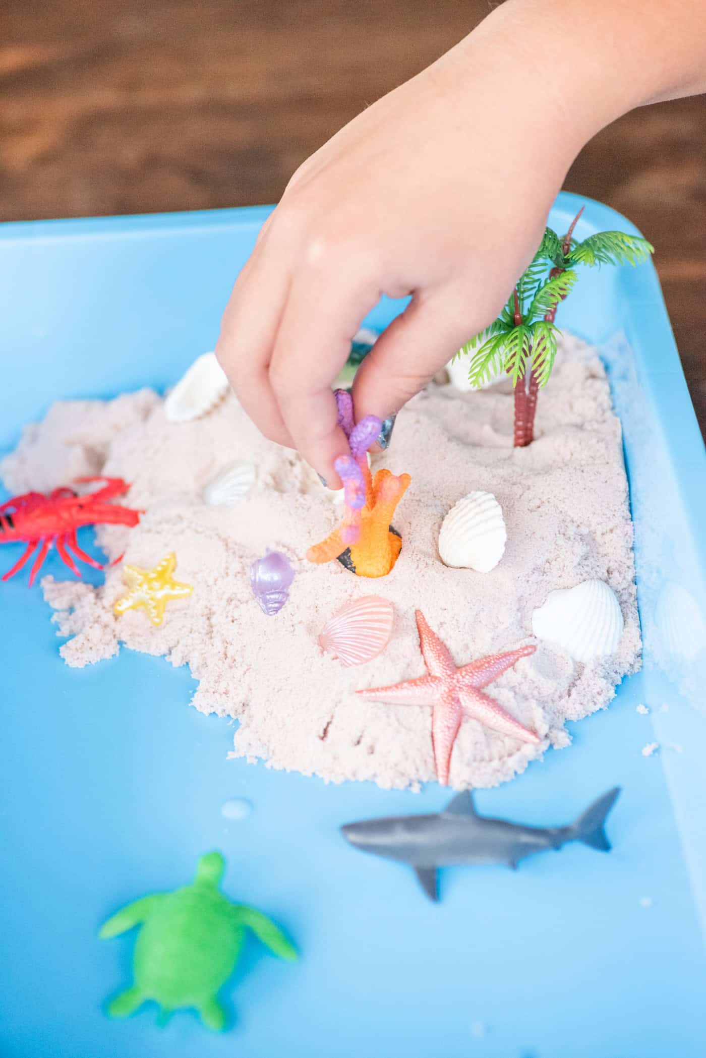 a child's hand repositioning a piece of plastic corral in a bin of beach sand colored kinetic sand