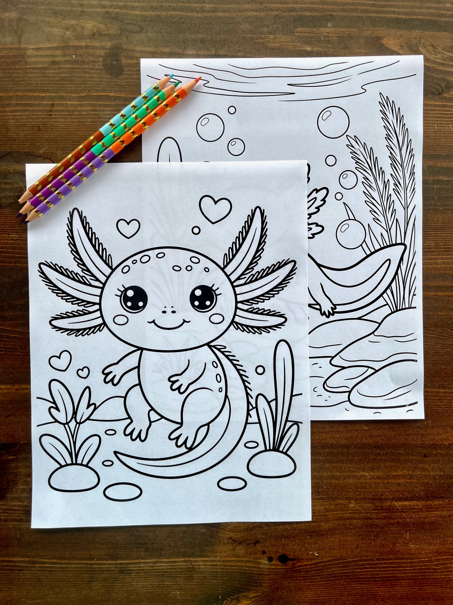 a top down photo of two printed axolotl coloring sheets