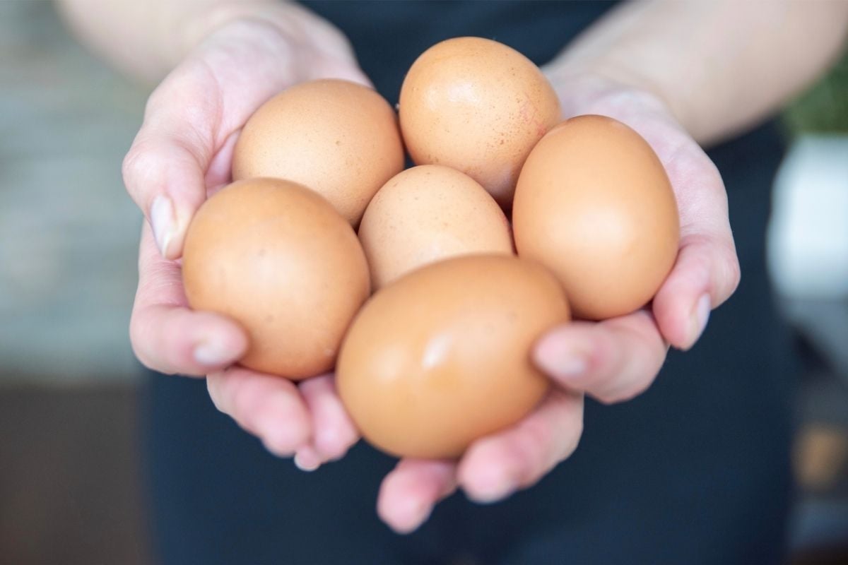 a woman's hands holding five hard boiled eggs