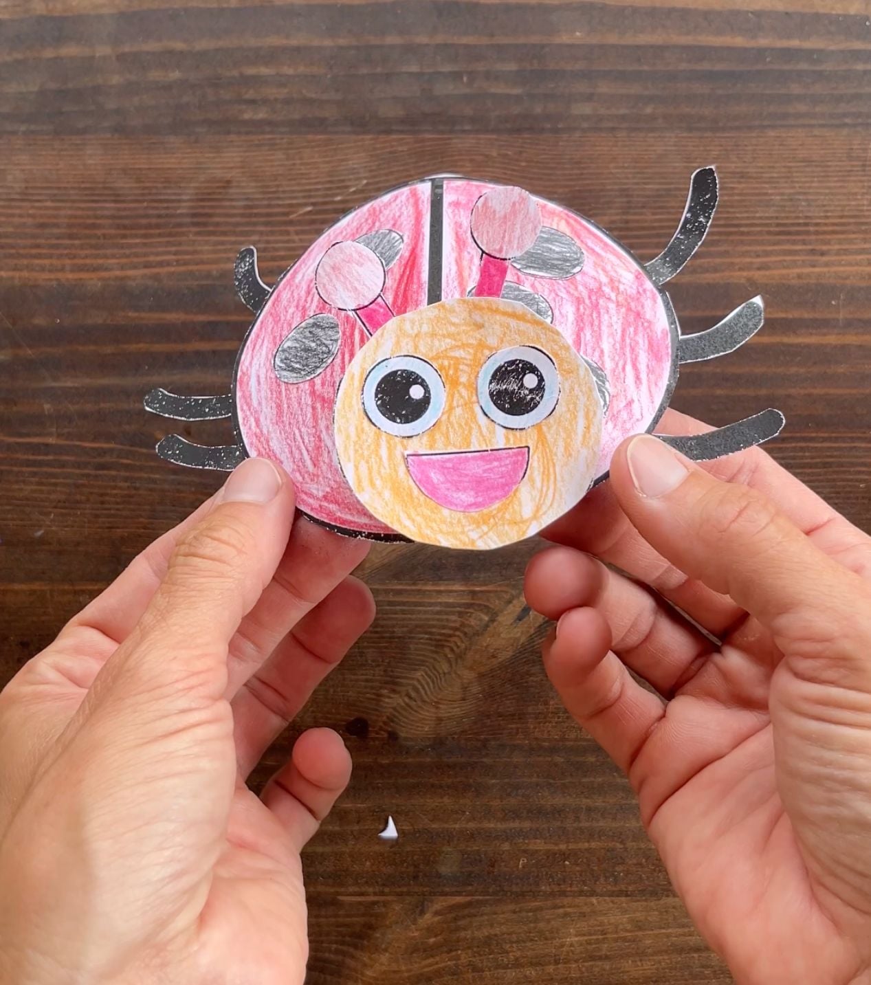completed 3d paper ladybug craft