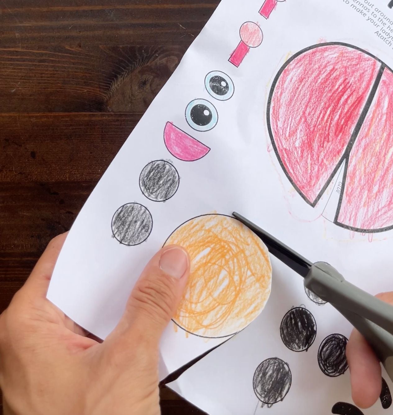 cutting out pieces for a ladybug craft