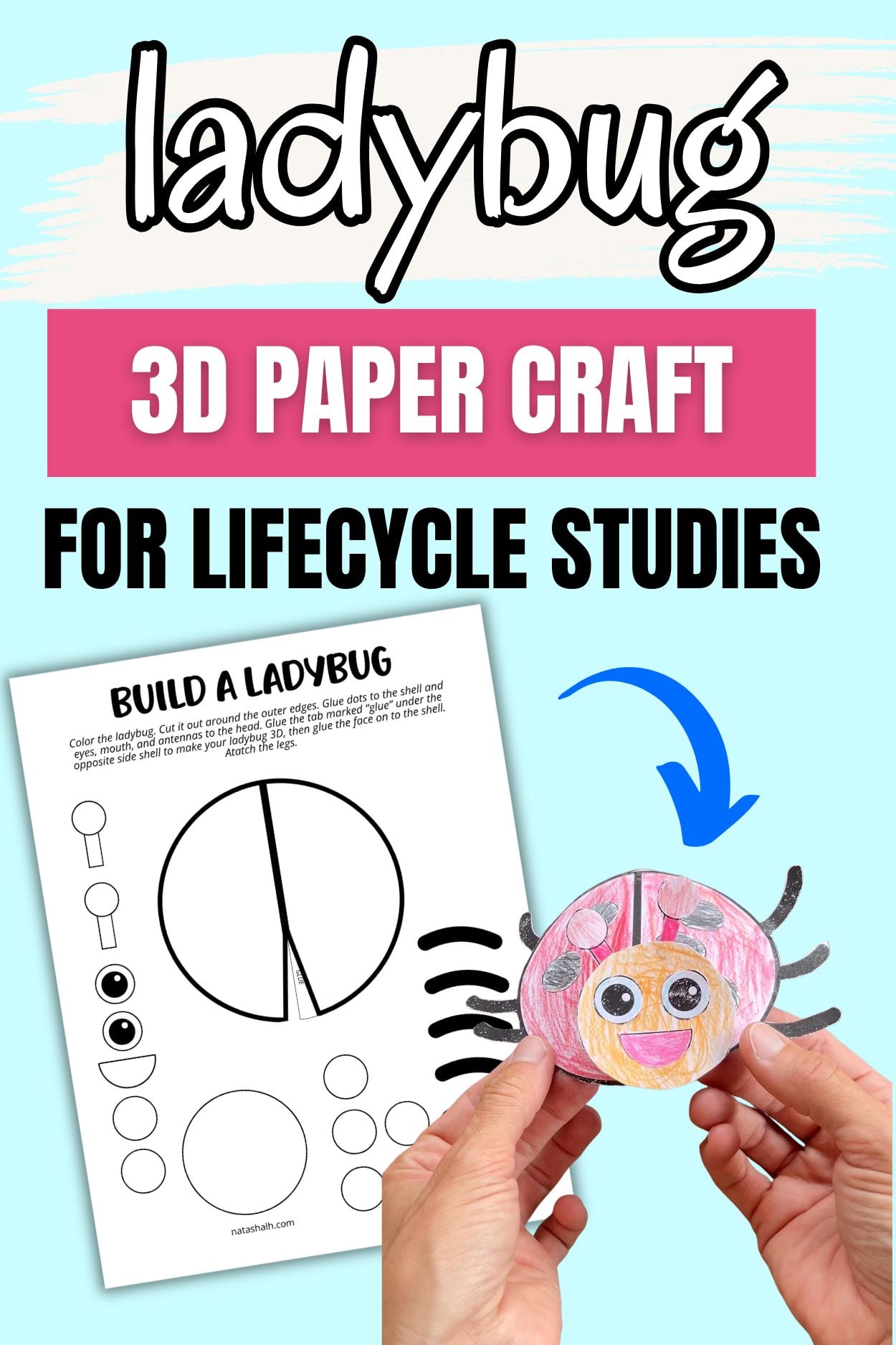 text "ladybug 3d paper craft for lifecycle studies" with a picture of a completed ladybug craft