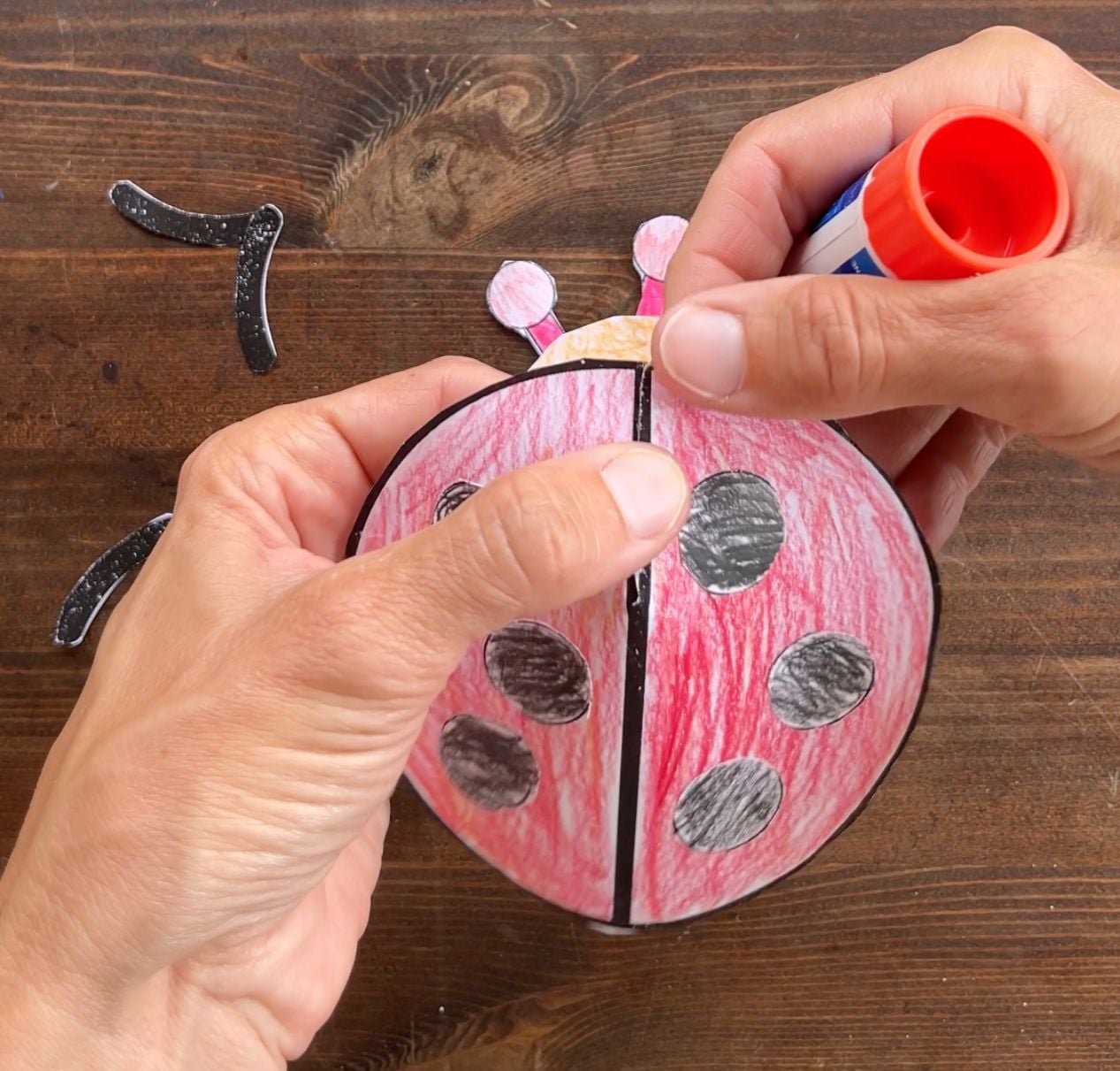 margin 3d shell for paper ladybug craft