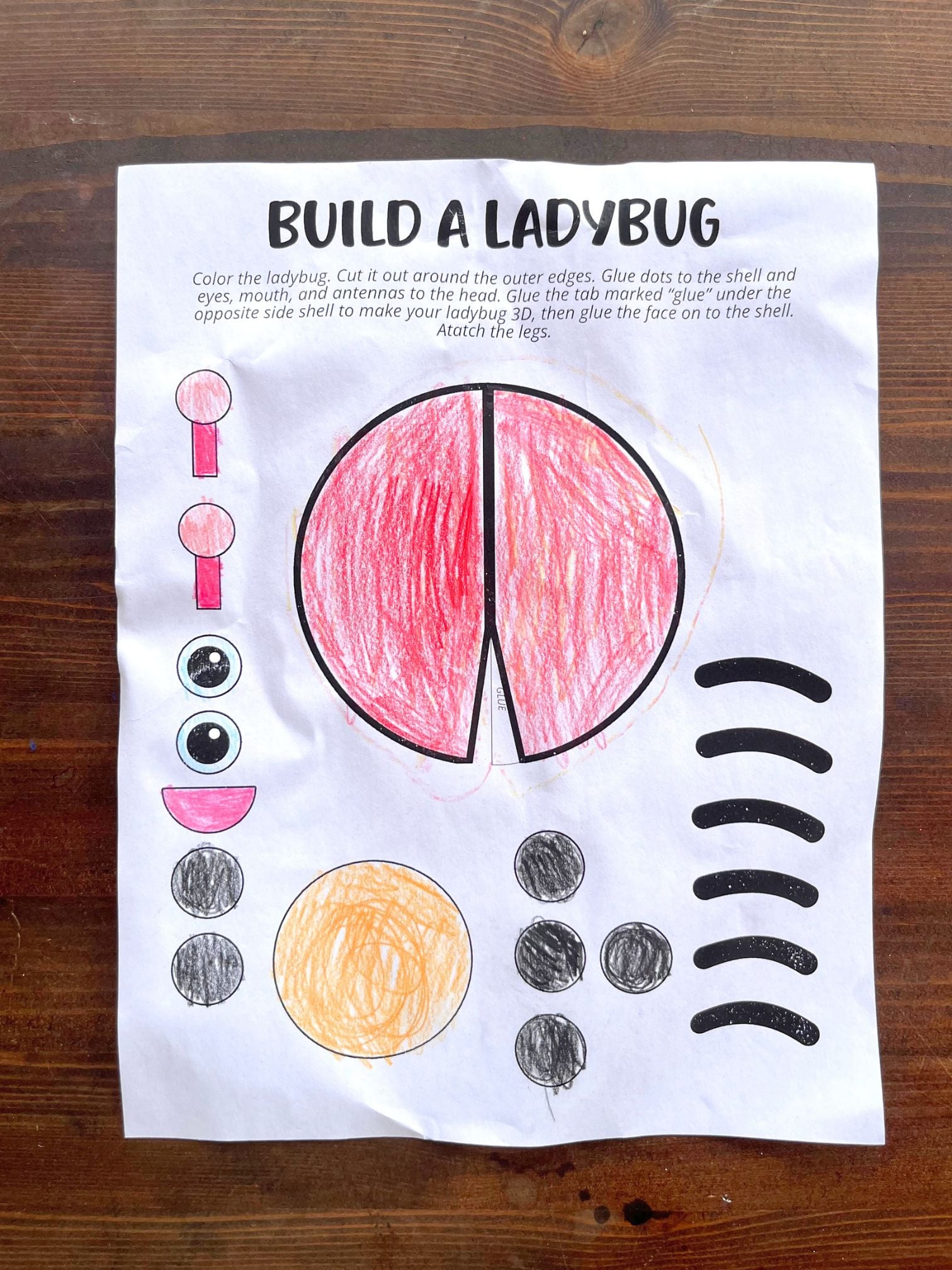a printed and colored paper ladybug craft