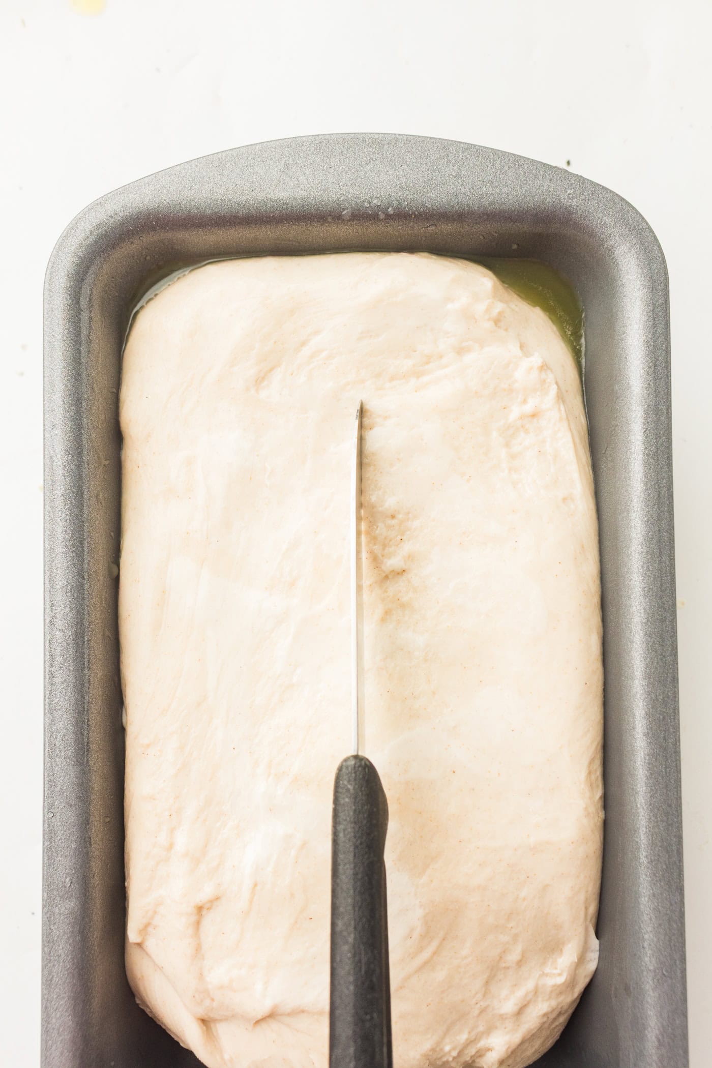 scouring the to of a loaf of sourdough sandwich bread