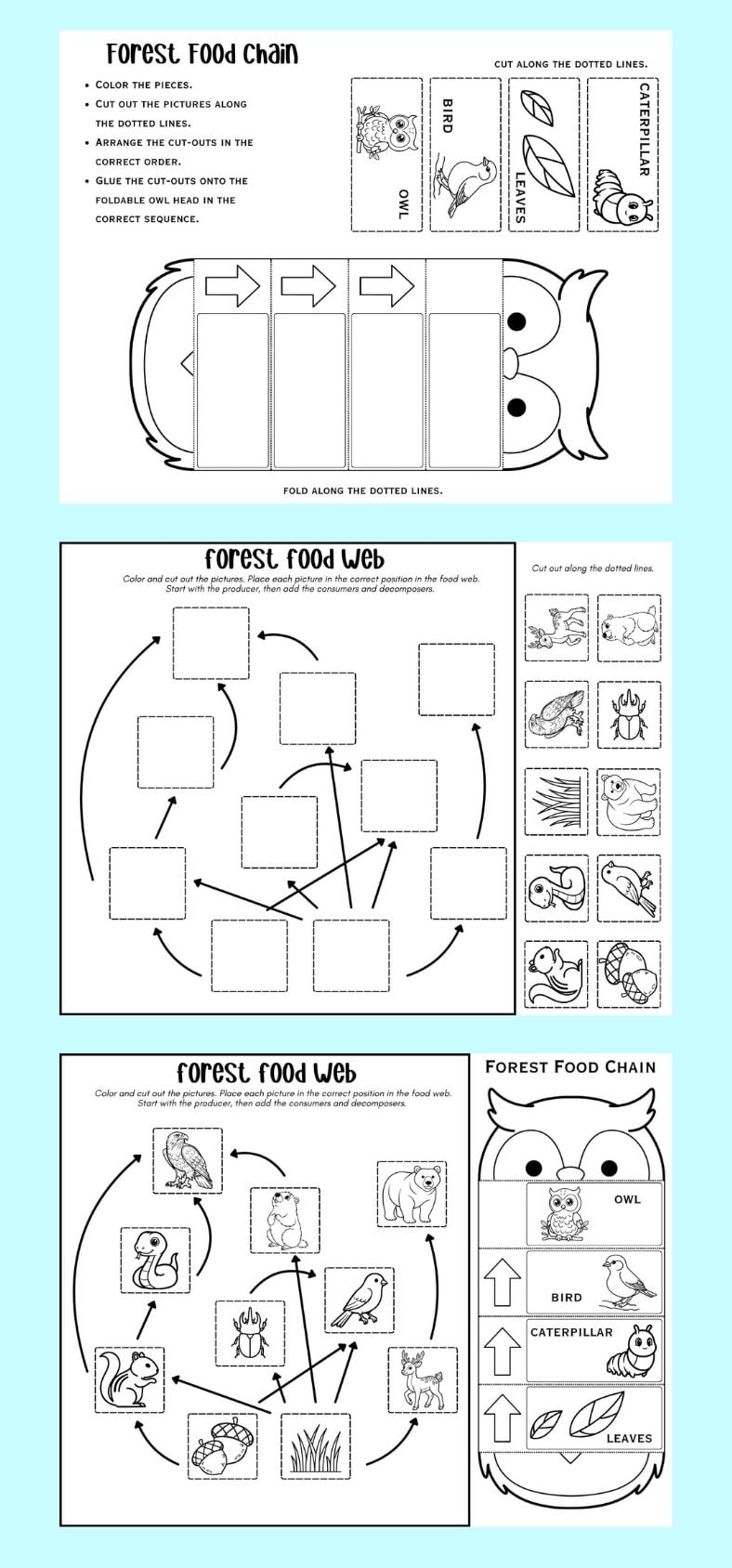 three printable pages from a forest food web and food chain interactive worksheet packet