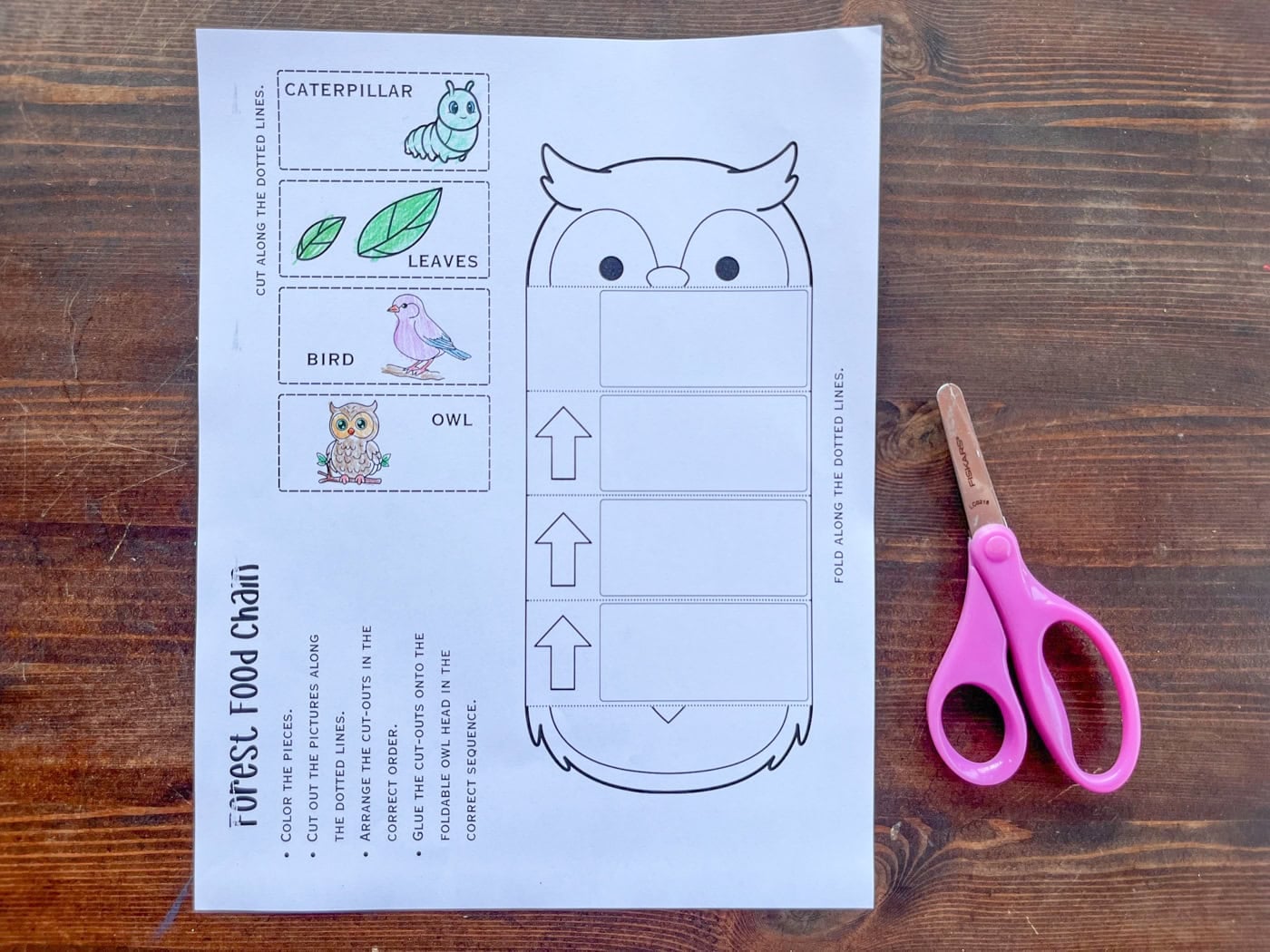 a forest food chain worksheet next to a pair of scissors