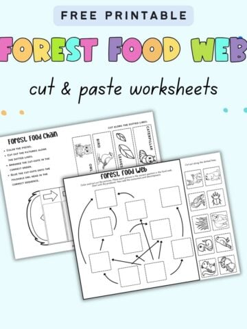 text "free printable forest food chain cut and paste worksheets" with a preview of a food web and a food chain cut and paste activity