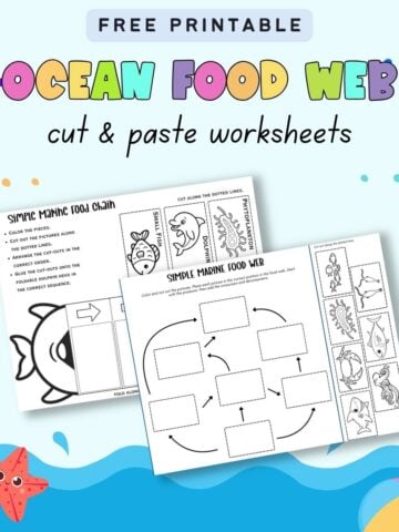 text "free printable ocean food web cut and paste worksheets"