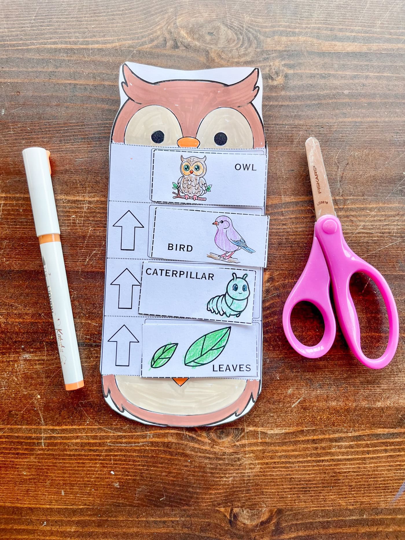 a completed owl food chain craft with cut and paste food chain elements inside an owl head