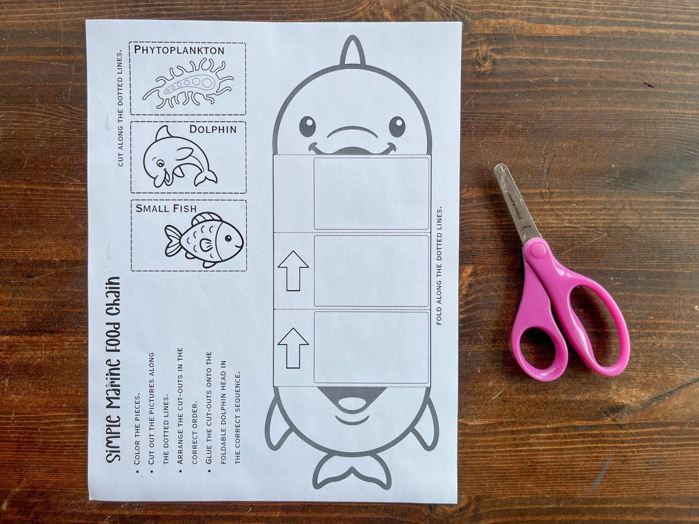 simple marine food chain dolphin craft on a table with scissors