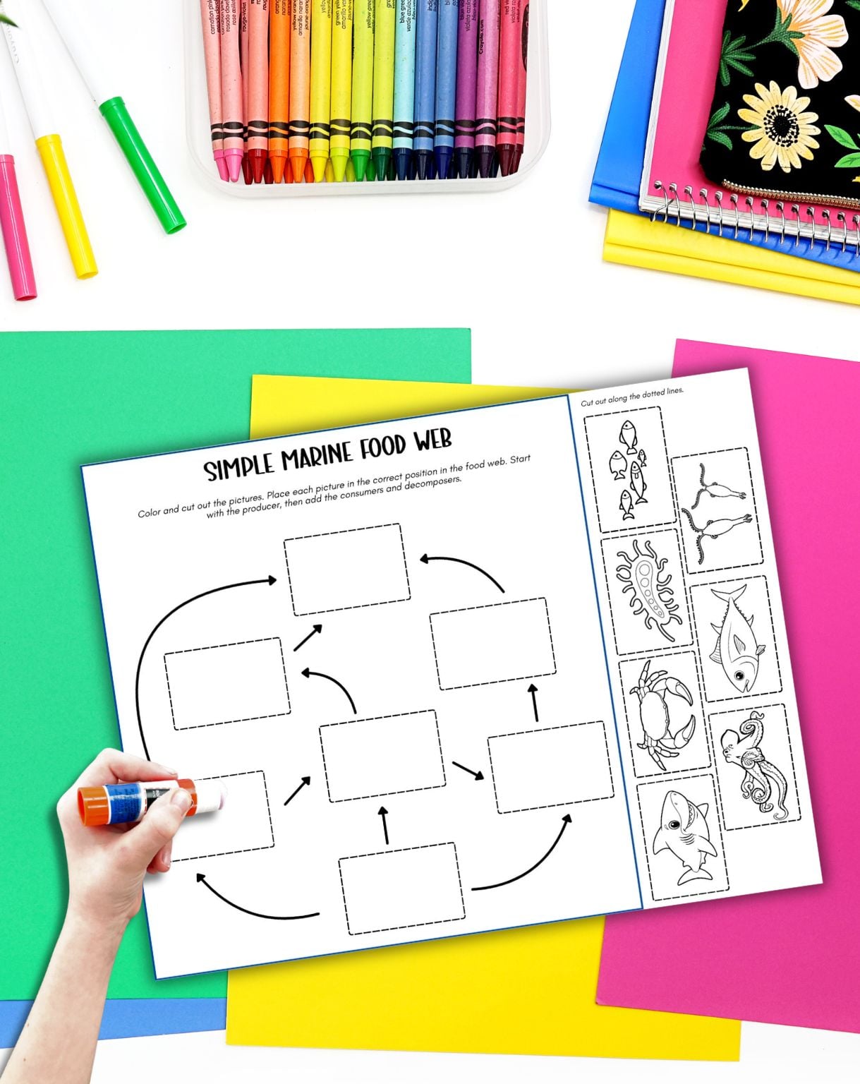 a simple marine food web cut and paste worksheet with colorful papers and a child's hadn't with a. glue stick