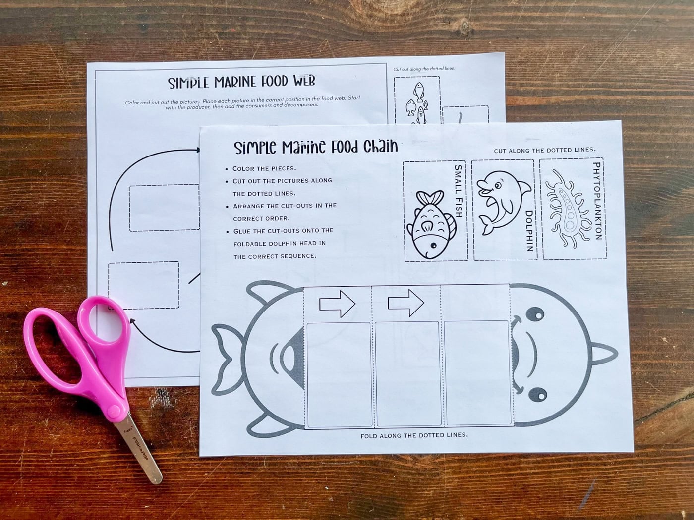 simple marine food chain dolphin craft and woof web cut and paste activity on a table with scissors
