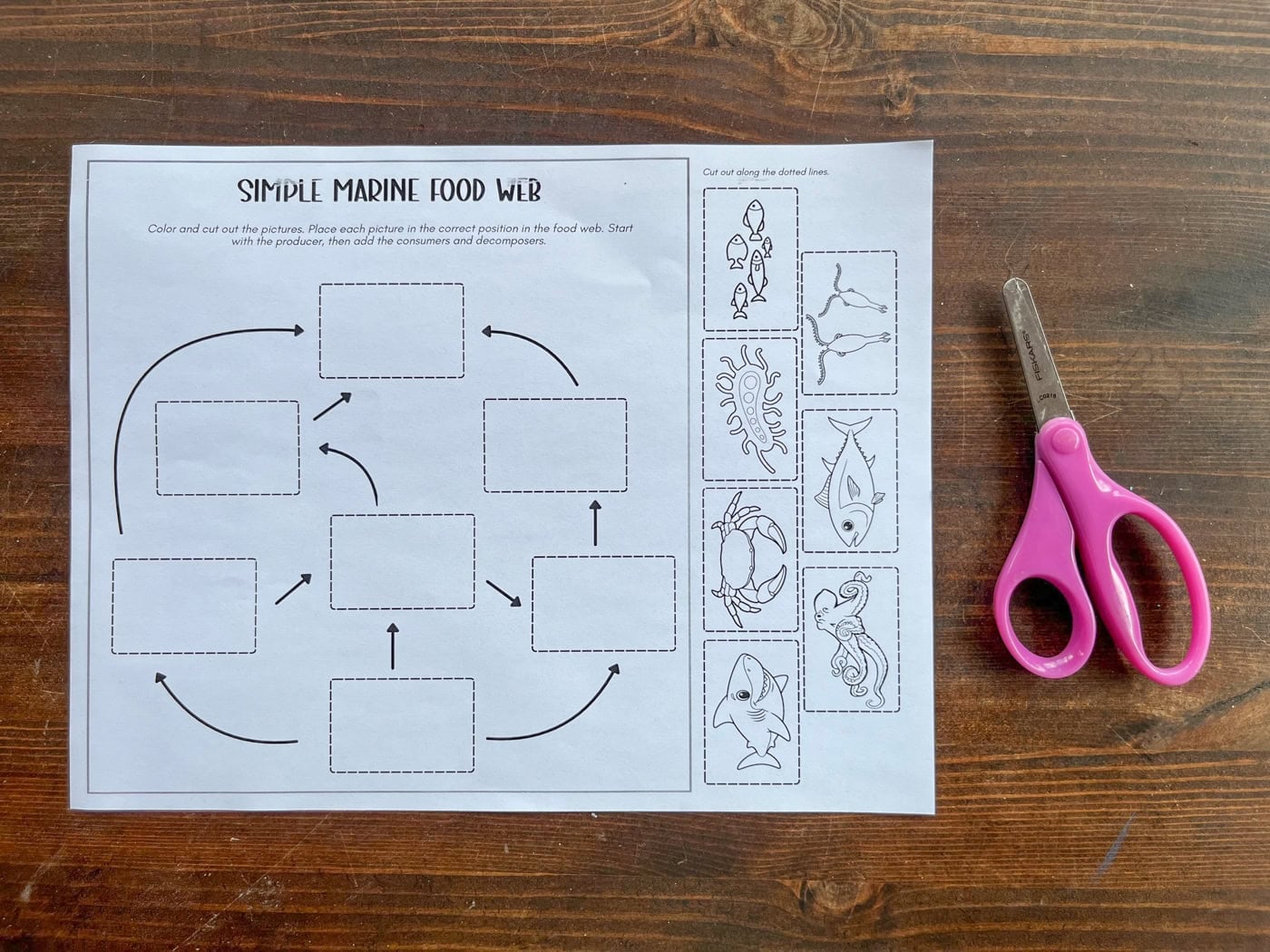 simple marine food web cut and paste worksheet on a table with scissors