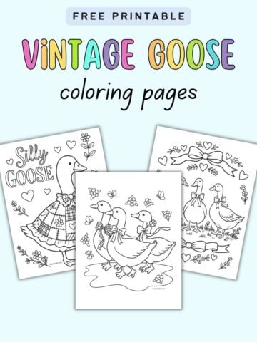 text "free printable vintage goose coloring pages" with a preview of three goose coloring sheets