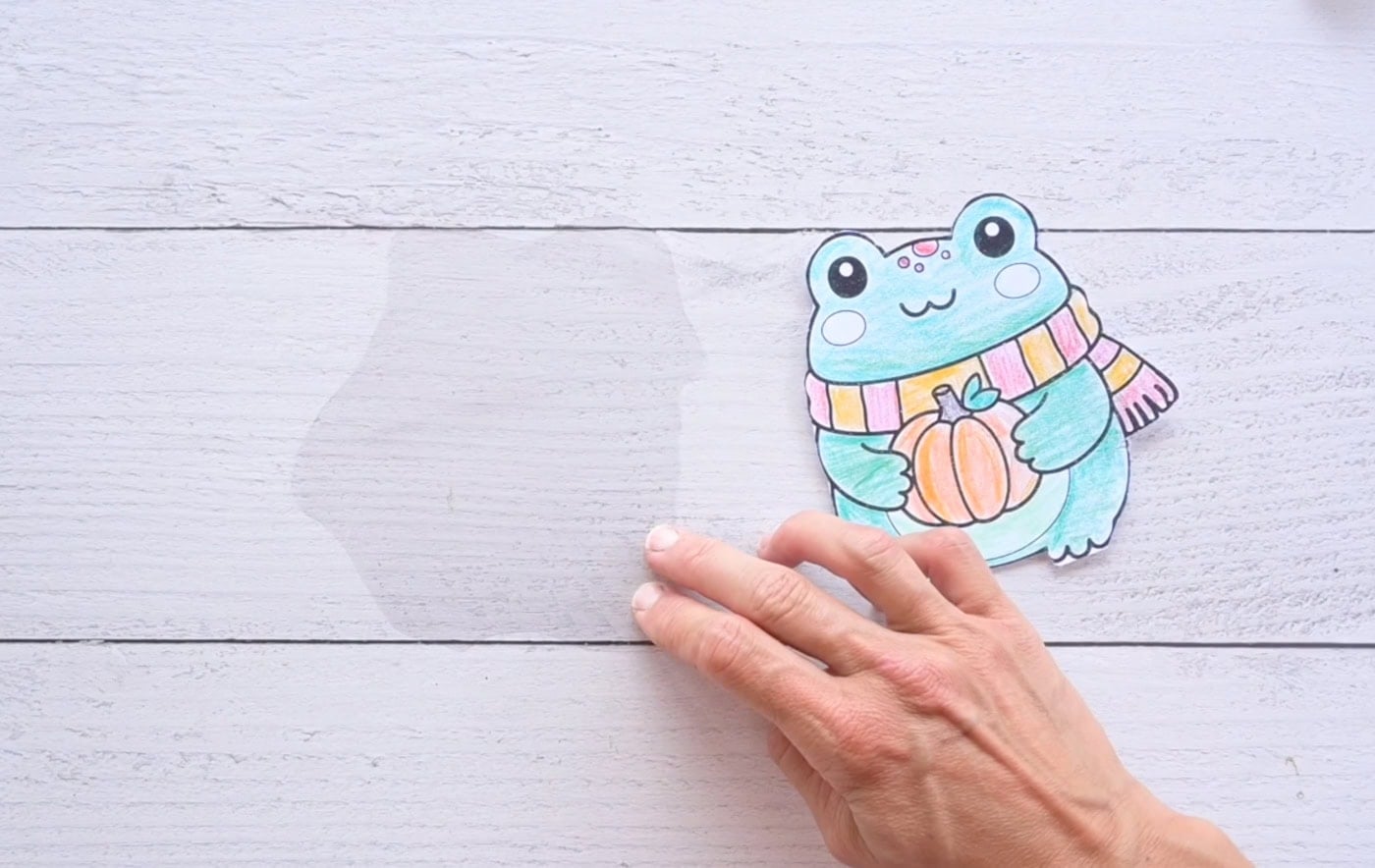 a piece of contact paper ready to laminate the front of a fall frog squishy